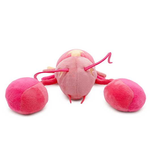 Hummerplüschtier Leon (23 cm)