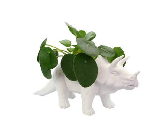Tricerapot Dinosaur Flower Pot