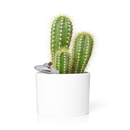 UFO-Autonomer Sprinkler