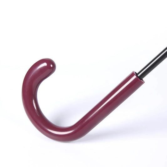 Transparenter Regenschirm von Harry Potter – Gryffindor-Emblem