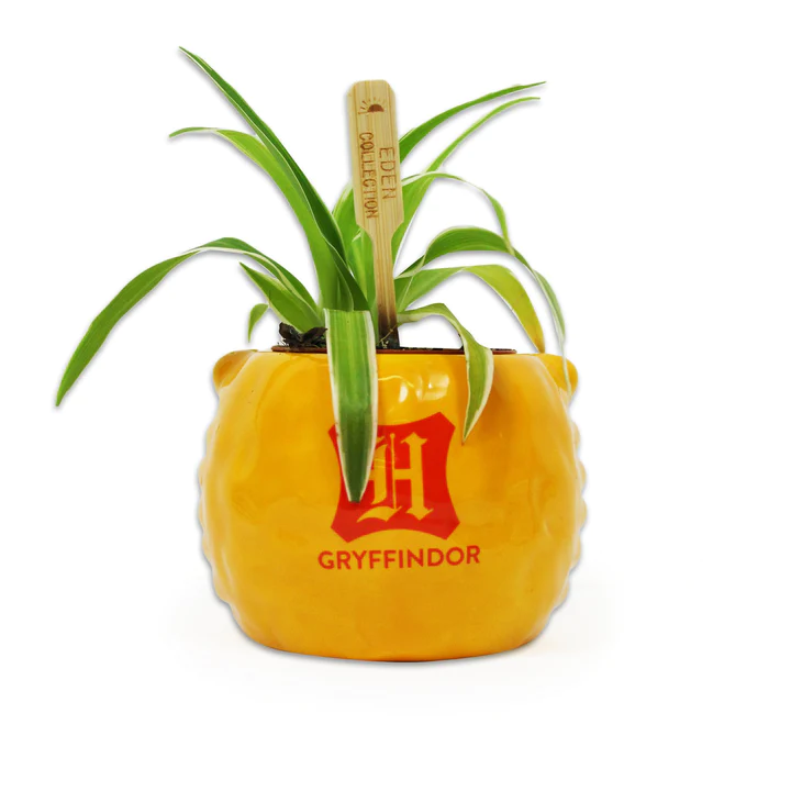 Harry Potter Pot - Griffoendor