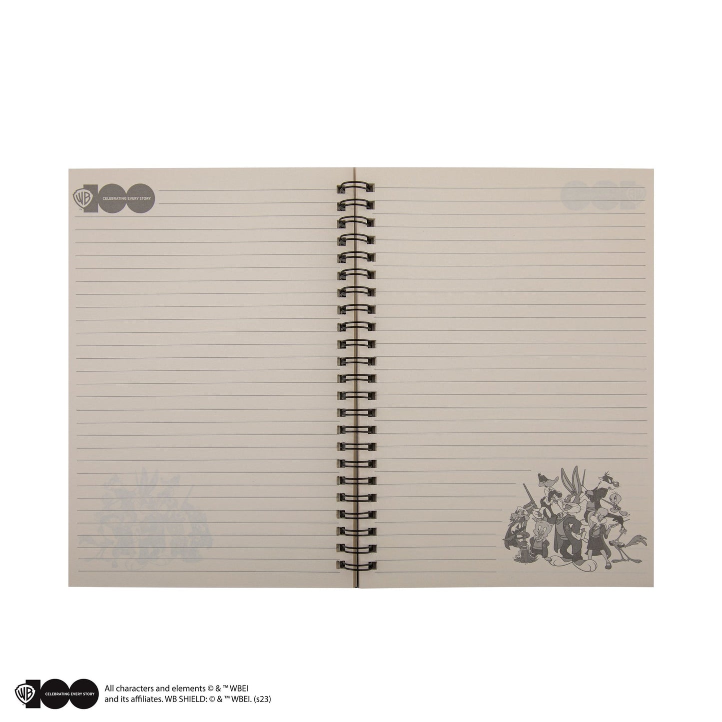 *Carnet Les maisons Poudlard des Looney Tunes
