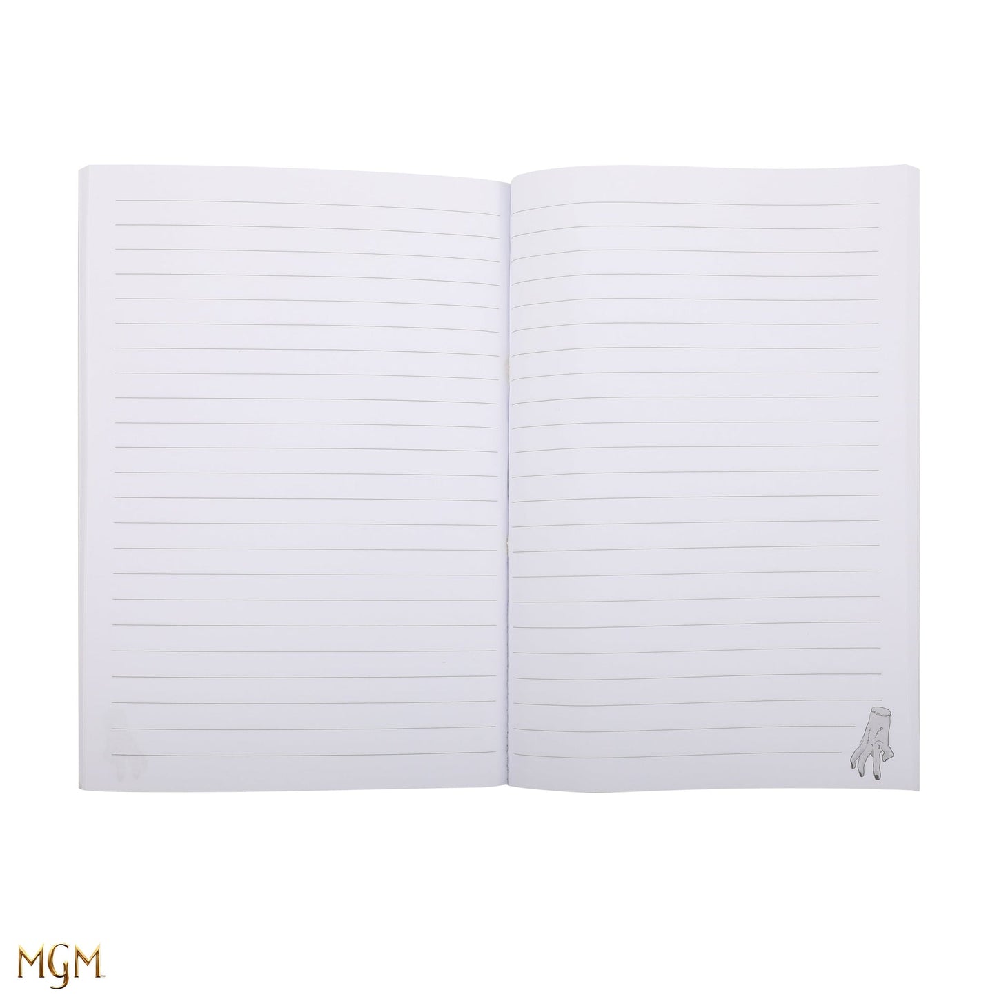 Carnet Mercredi et son violoncelle