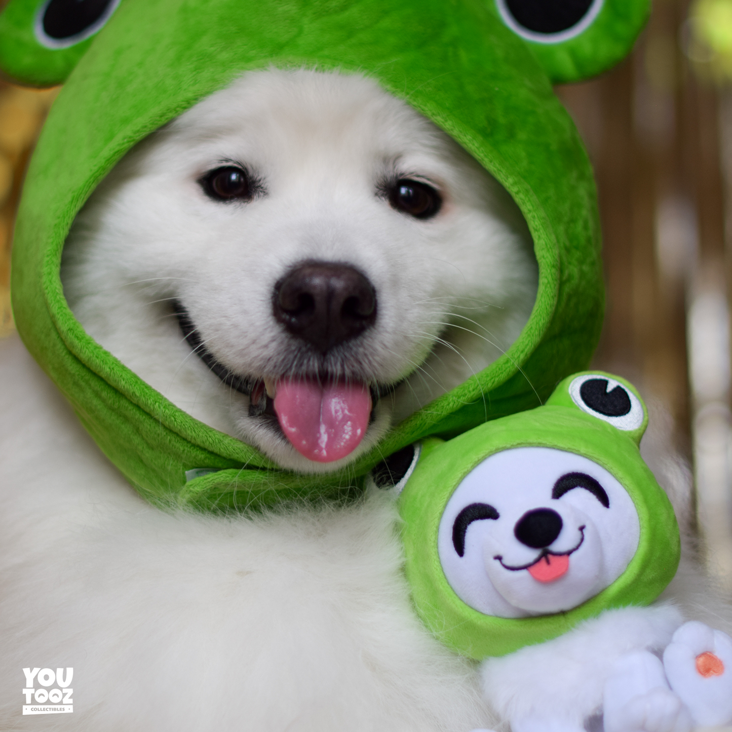 Shiro Froggy Plüsch (15 cm)