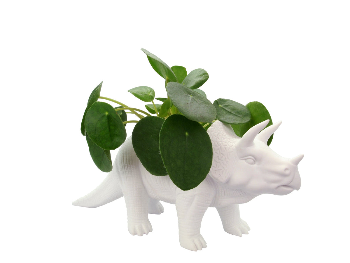 Pot de Fleur Dinosaure Tricérapot
