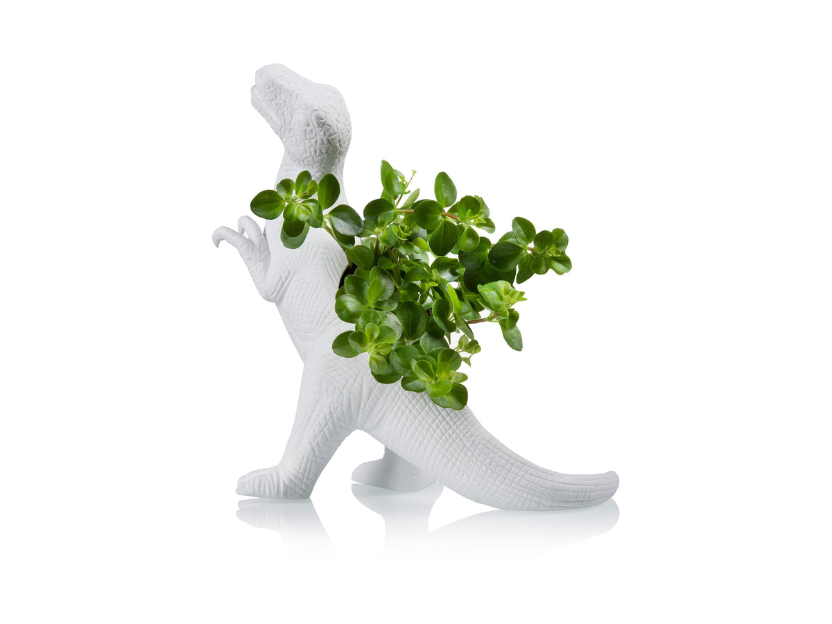 Pot de Fleur Dinosaure Plantosaurus Rex