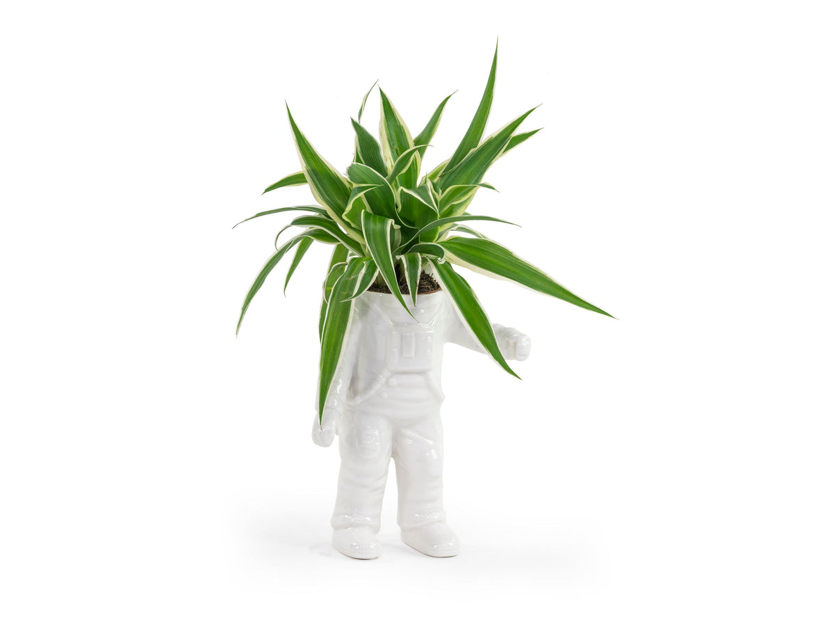 Pot de Fleur Astronaute – Petit