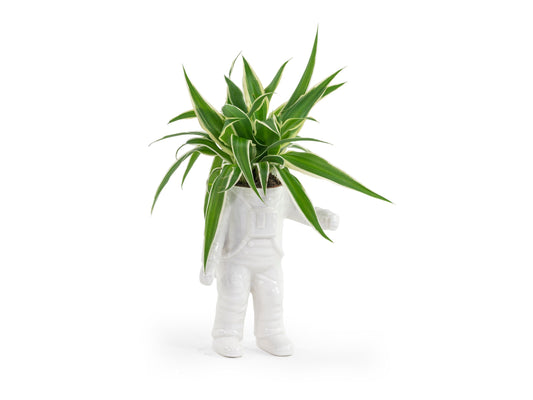 Pot de Fleur Astronaute – Petit – Bitten