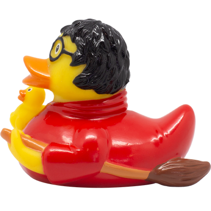 Wizard Duck