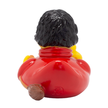 Wizard Duck