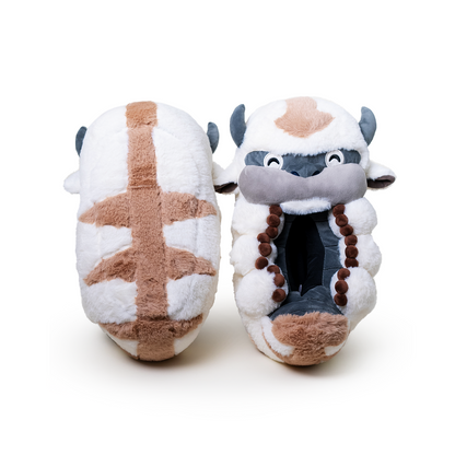 Appa-Hausschuhe
