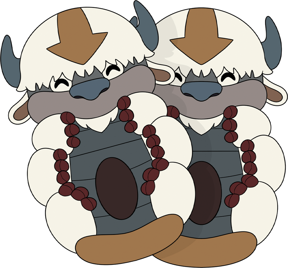 Appa-Hausschuhe