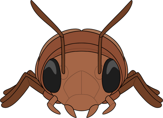 Radroach Plüsch (23cm)