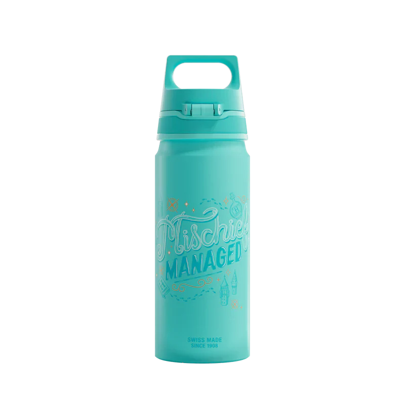 Gourde enfant WMB ONE Kids Harry Potter 0.6 L