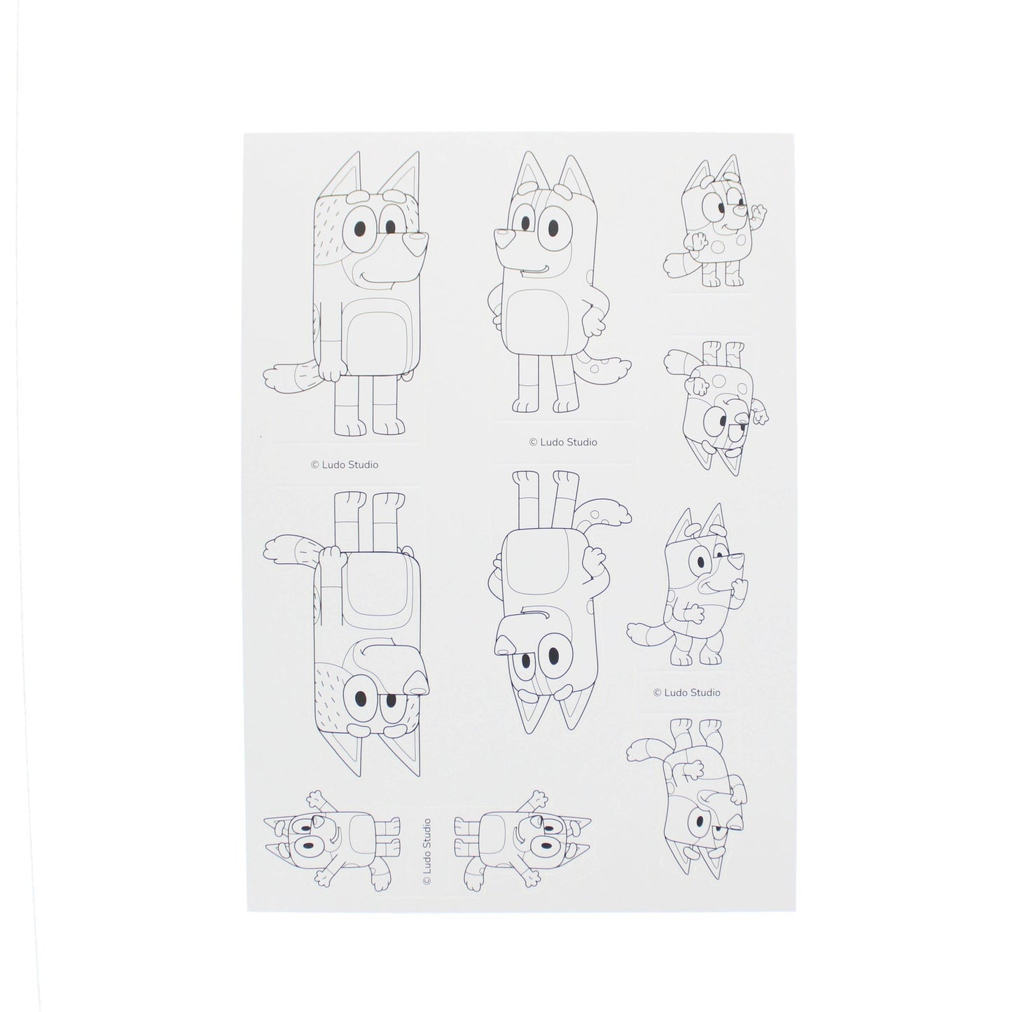 Bluey – Build, Colour and Play | Blueprint Collections – vue 5