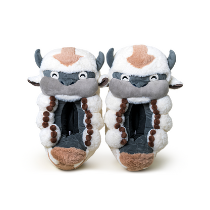 Appa-Hausschuhe