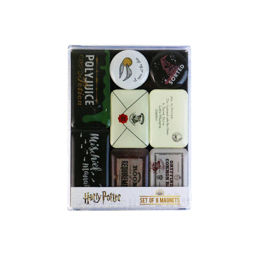 8-teiliges Harry Potter Epoxid-Magnetset – Hogwarts Artefakte