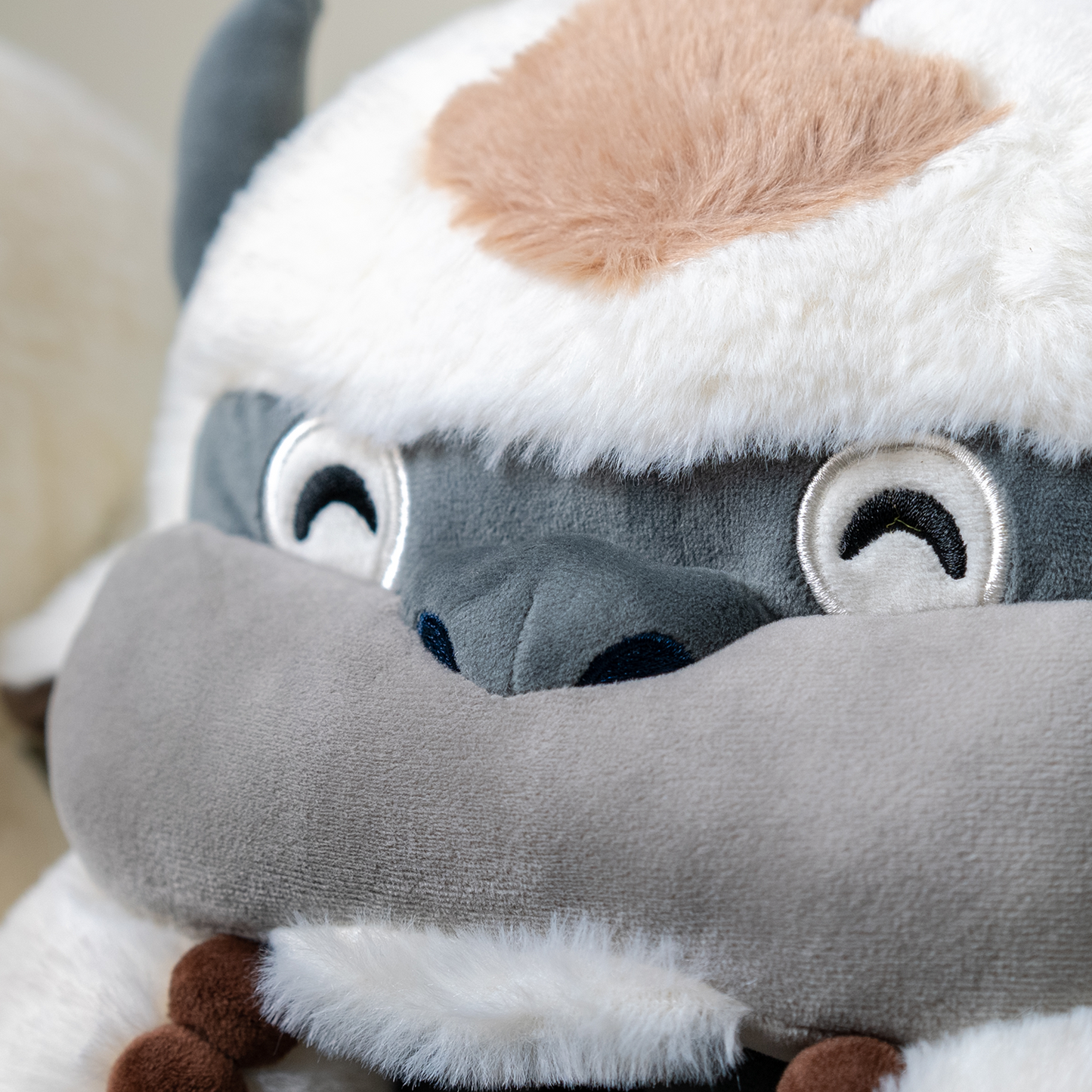 Appa-Hausschuhe