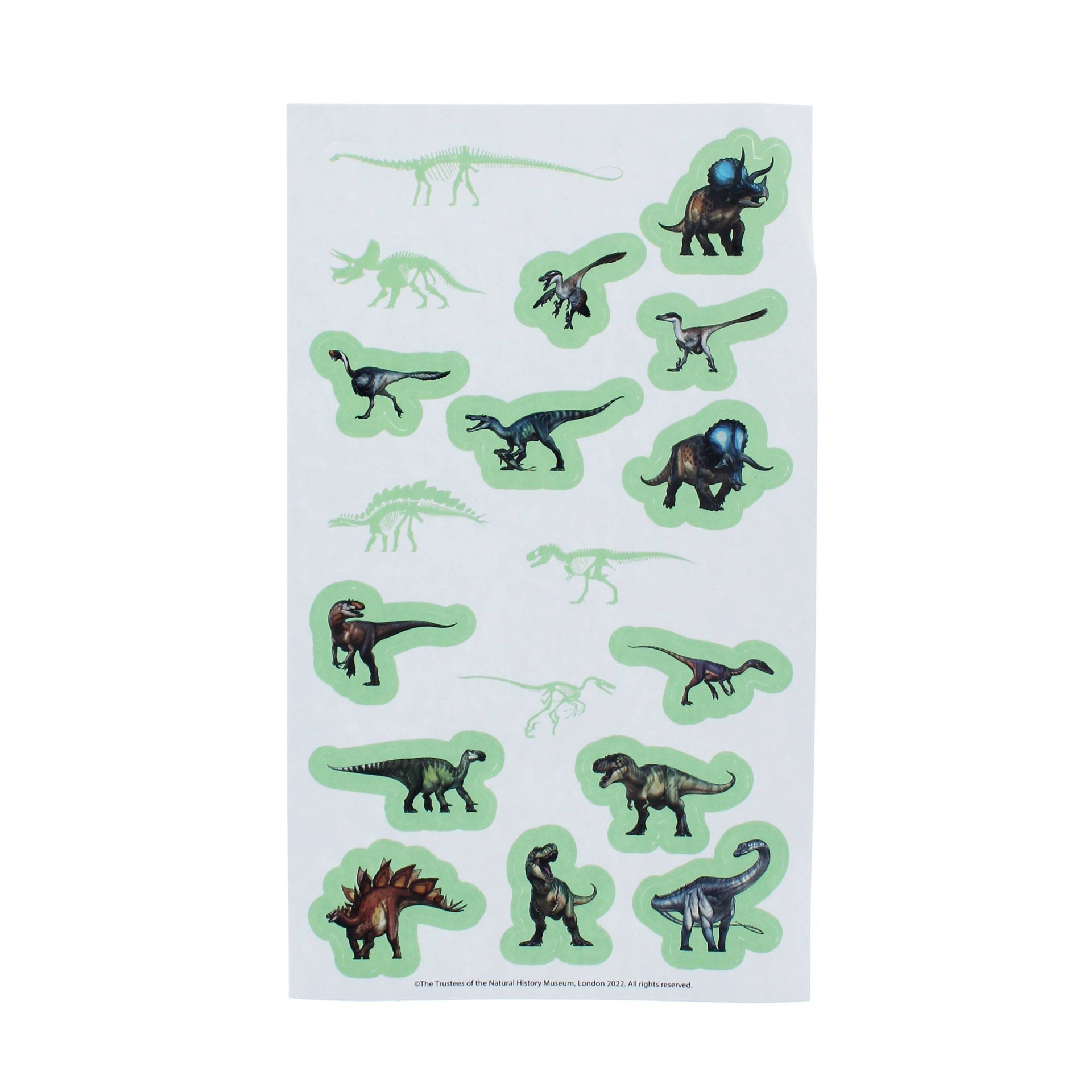 Autocollants – Glow in the dark du Musée d'histoire naturelle | Blueprint Collections – vue 5