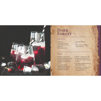 Livre cadeau School of Alchemy Potent Potions Harry Potter