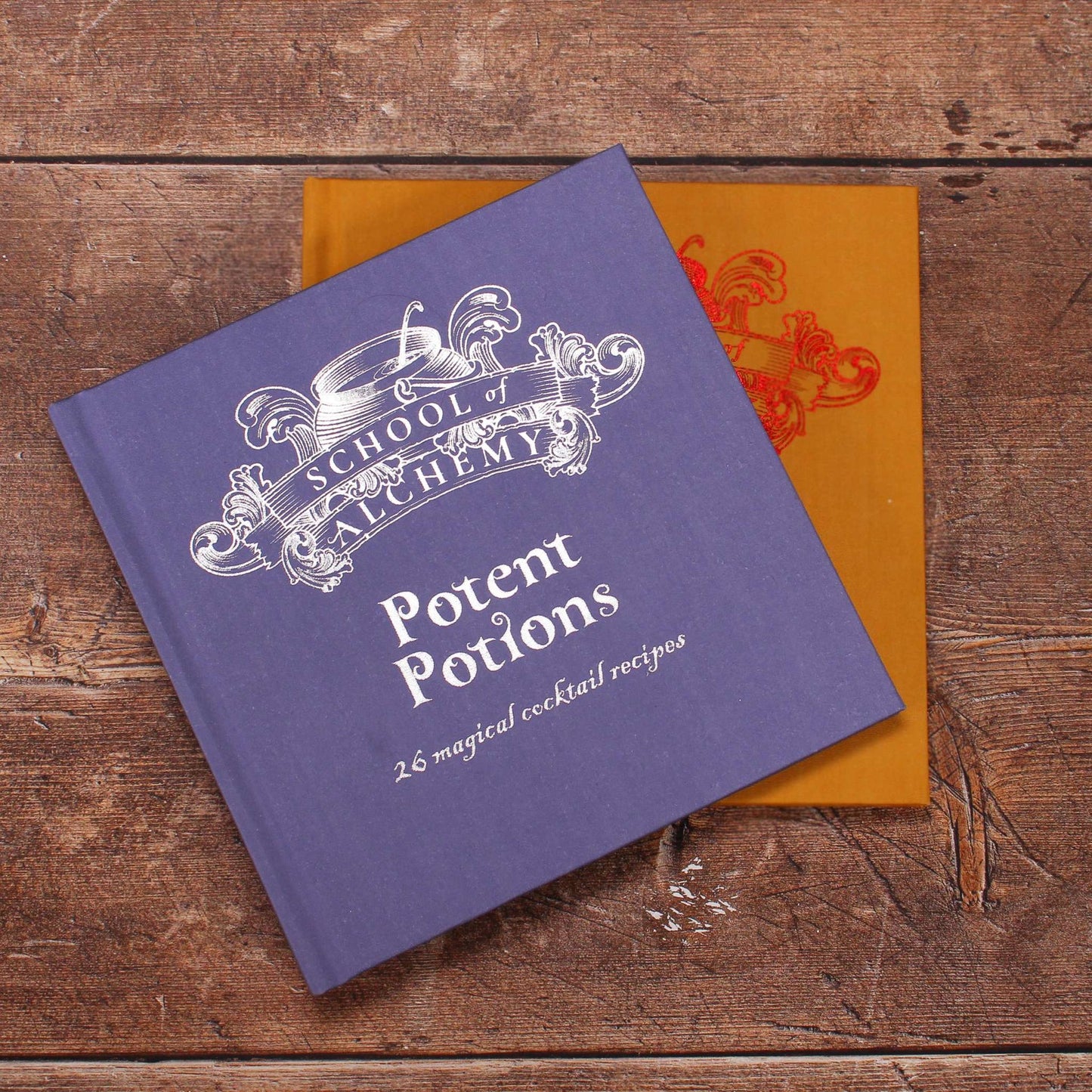 Livre cadeau School of Alchemy Potent Potions Harry Potter