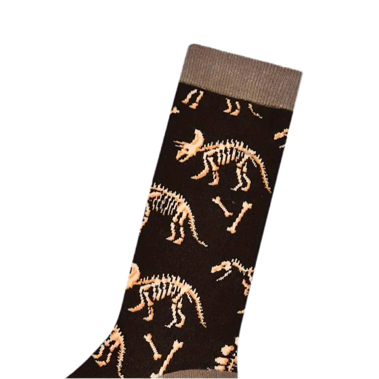 Chaussettes Fossiles de Dinosaures