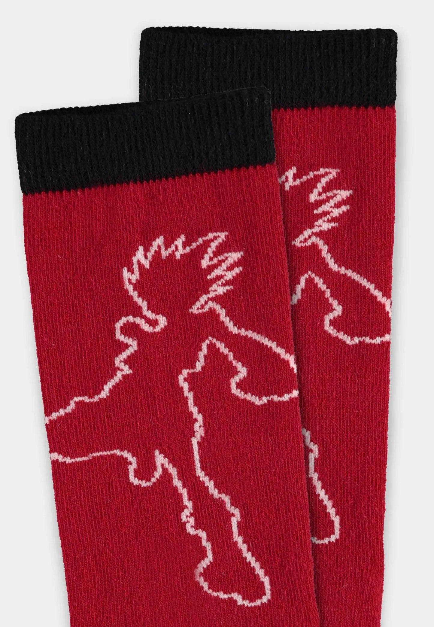 Pack of 3 pairs of Hunter x Hunter socks 