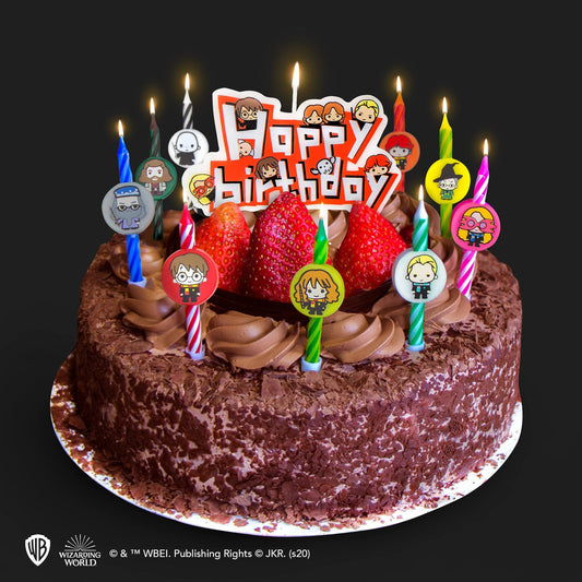10er Set Harry Potter Charaktere Geburtstagskerzen & 1 Happy Birthday