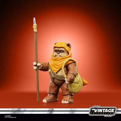 Star Wars The Vintage Collection Wicket et Kneesaa