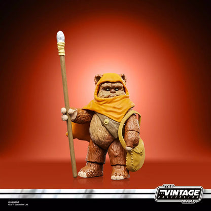 Star Wars The Vintage Collection Wicket et Kneesaa