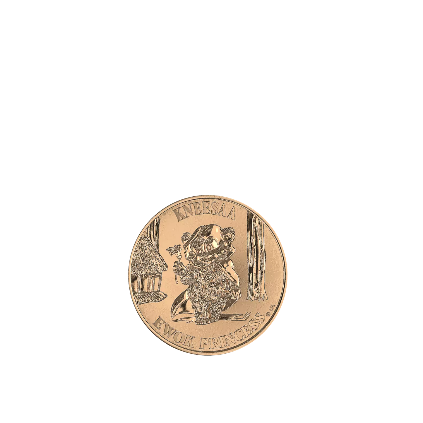 Star Wars The Vintage Collection Wicket et Kneesaa