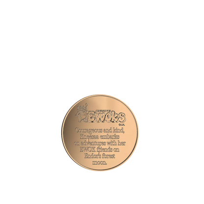 Star Wars The Vintage Collection Wicket et Kneesaa