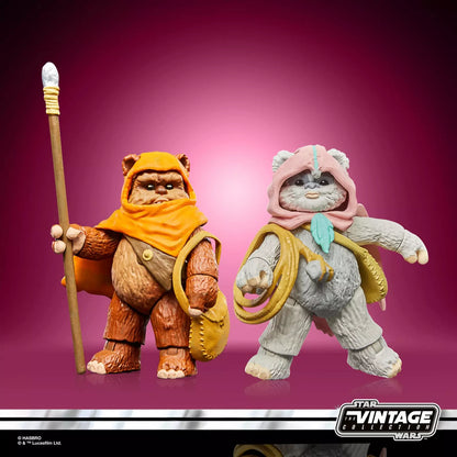 Star Wars The Vintage Collection Wicket et Kneesaa