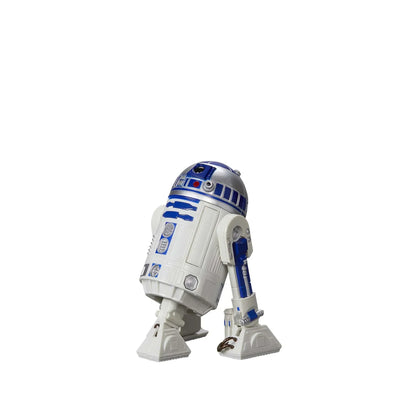 R2-D2 - The Black Series