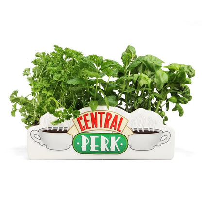 Friends Flower Pot - Central Perk