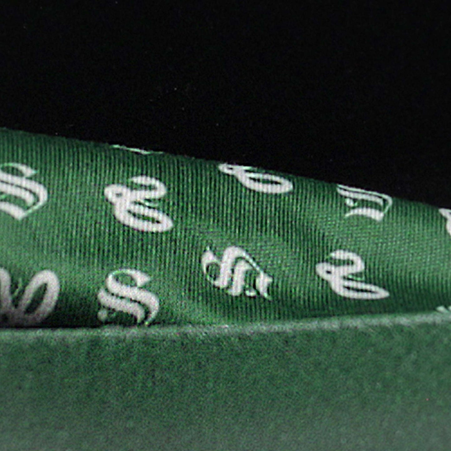 Etui à lunettes Harry Potter - Serpentard