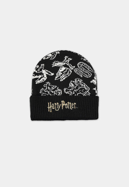 Harry Potter Hut- und Schalbox