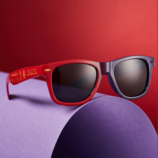 Lunettes de Soleil He-Man et Skeletor