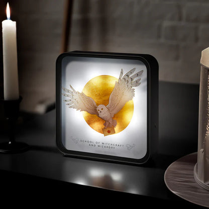 Harry Potter 3D Lamp - Hedwig