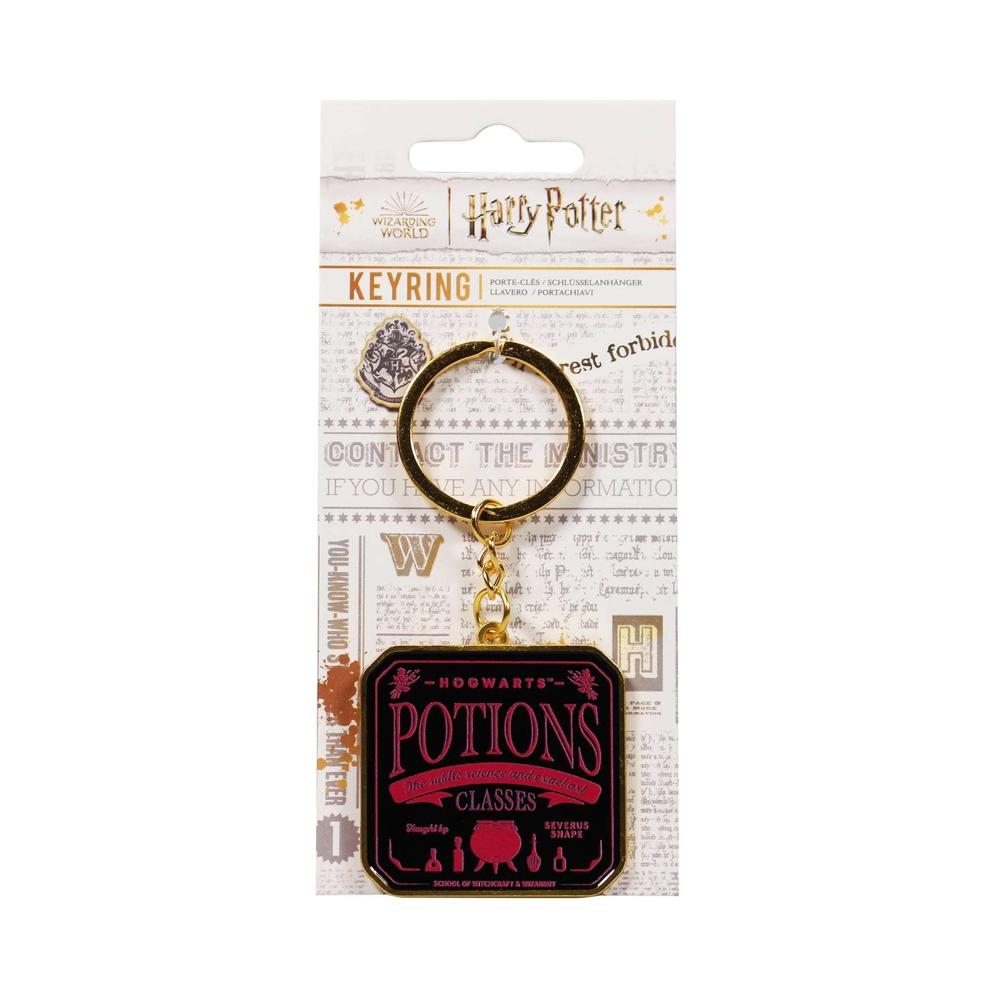 Porte-clés Harry Potter - avec carte d'en-tête Potions