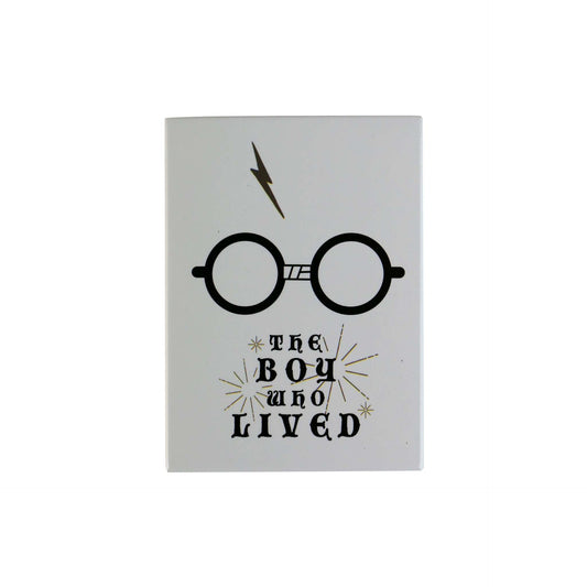 Harry-Potter-Fan - Der Junge, der überlebte