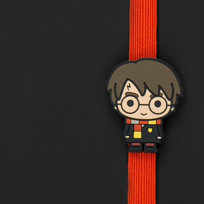 *Carnet Harry Potter