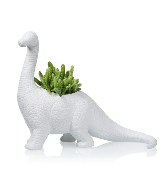 Plantosaurus Dinosaur Flower Pot