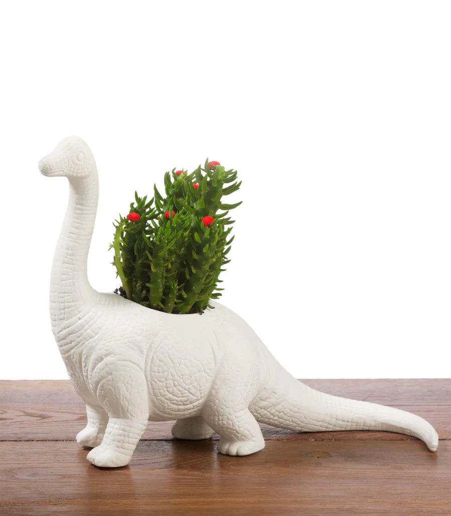 Plantosaurus Dinosaur Flower Pot