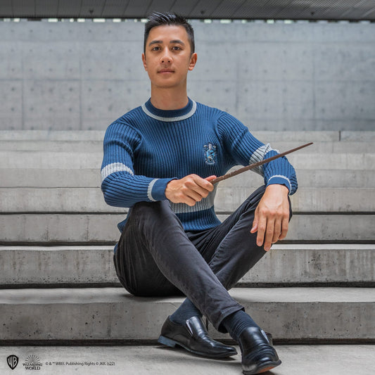 Quidditch-Pullover Ravenclaw