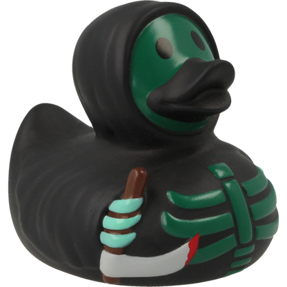 Canard Scary