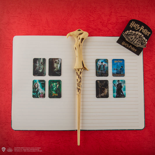 Harry Potter Filmposter Wackelbilder