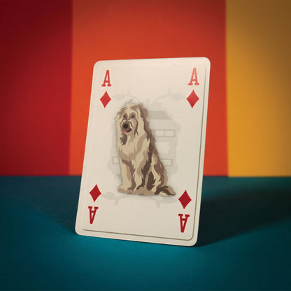 Cartes à jouer Retour vers le FuturJCartes à jouer Retour vers le FutureCartes à jouer Retour vers le FuturuCartes à jouer Retour vers le Futur Cartes à jouer Retour vers le FuturdCartes à jouer Retour vers le FutureCartes à jouer Retour vers le Futur Cartes à jouer Retour vers le FuturcCartes à jouer Retour vers le FuturaCartes à jouer Retour vers le FuturrCartes à jouer Retour vers le FuturtCartes à jouer Retour vers le FutureCartes à jouer Retour vers le FutursCartes à jouer Retour vers le Futur Cartes à