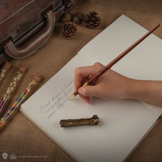 Essstäbchen-Stift mit Sockel & Lentikular-Lesezeichen Harry Potter
