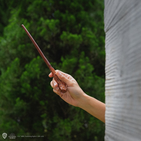 *Zauberstab-Stift mit Ständer & Lesezeichen (Wackelbild) Ron Weasley